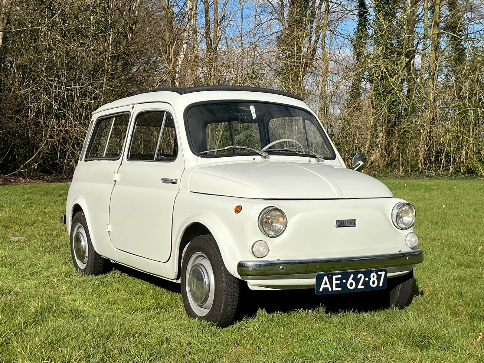 Fiat 1965 Wit, Auto's, Fiat, Particulier, Benzine, Stationwagon, Geïmporteerd, Wit, Ophalen
