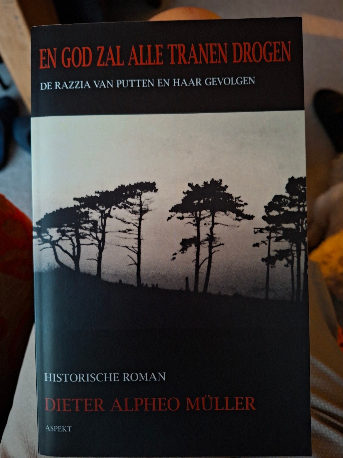 En God Zal Alle Tranen Drogen - Historische Roman, Boeken, Ophalen of Verzenden