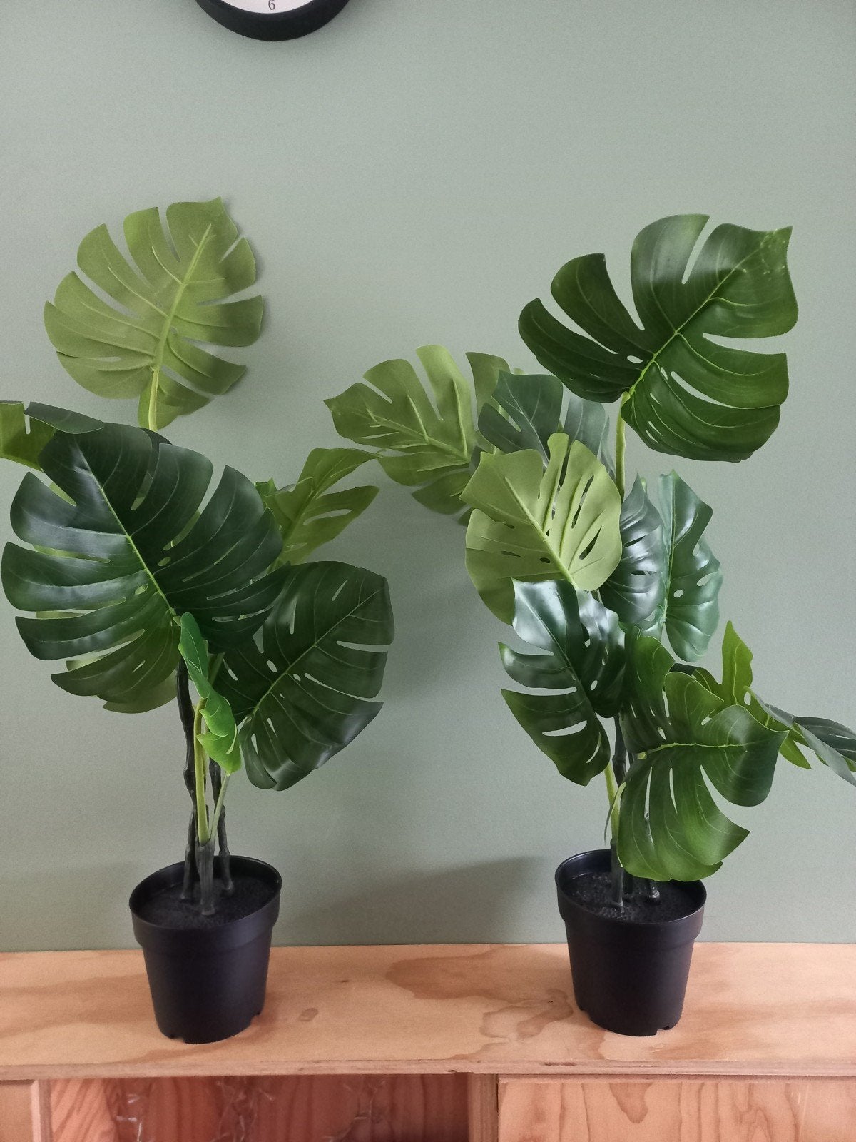 Kunstplant monstera ikea fejka, Ophalen, Halfschaduw, Minder dan 100 cm