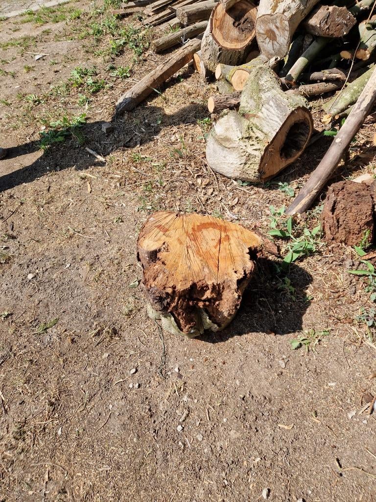 Gedroogde boomstronken met wortel en oude spoorbielzen, Ophalen