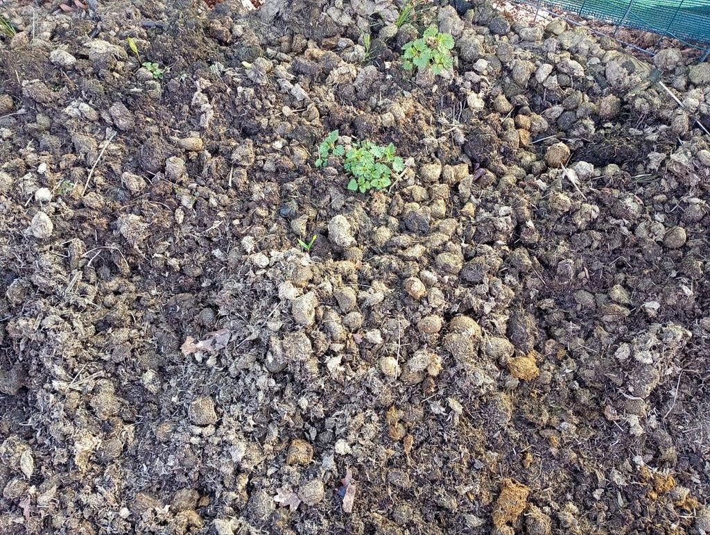 Gratis; mest/compost, Tuin en Terras, Ophalen
