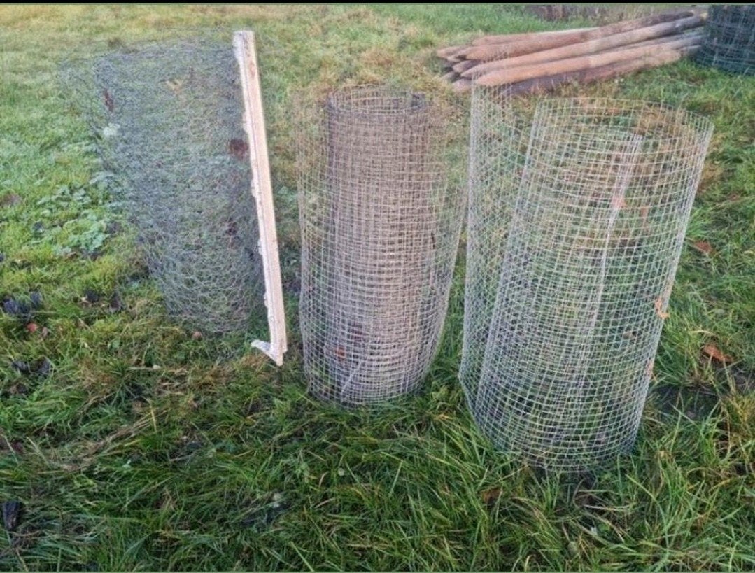 Laag gaas 51cm hoog met afrastering paaltje

Beschikbaar:

P, Ophalen, Zo goed als nieuw, Minder dan 10 meter, Gaas