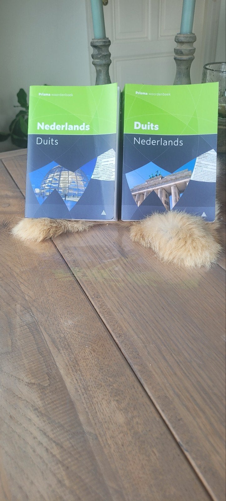 Set Prisma Woordenboeken Duits / NL-DE en DE-NL, Boeken, Prisma of Spectrum, Prisma, Ophalen of Verzenden, Duits