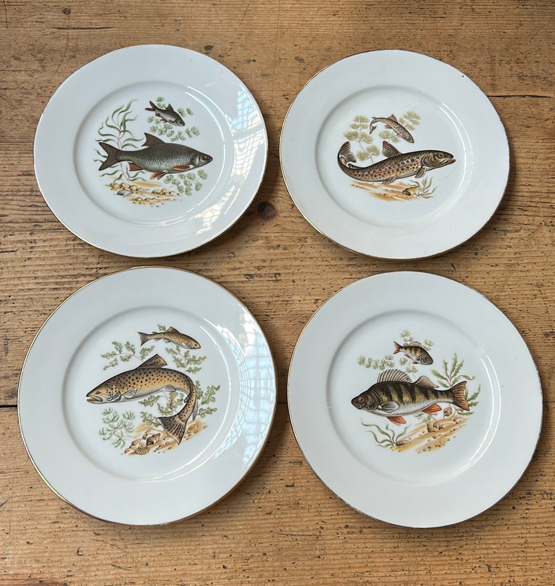 4 Vintage porseleinen vis borden 25,5 cm geheel gaaf, Ophalen