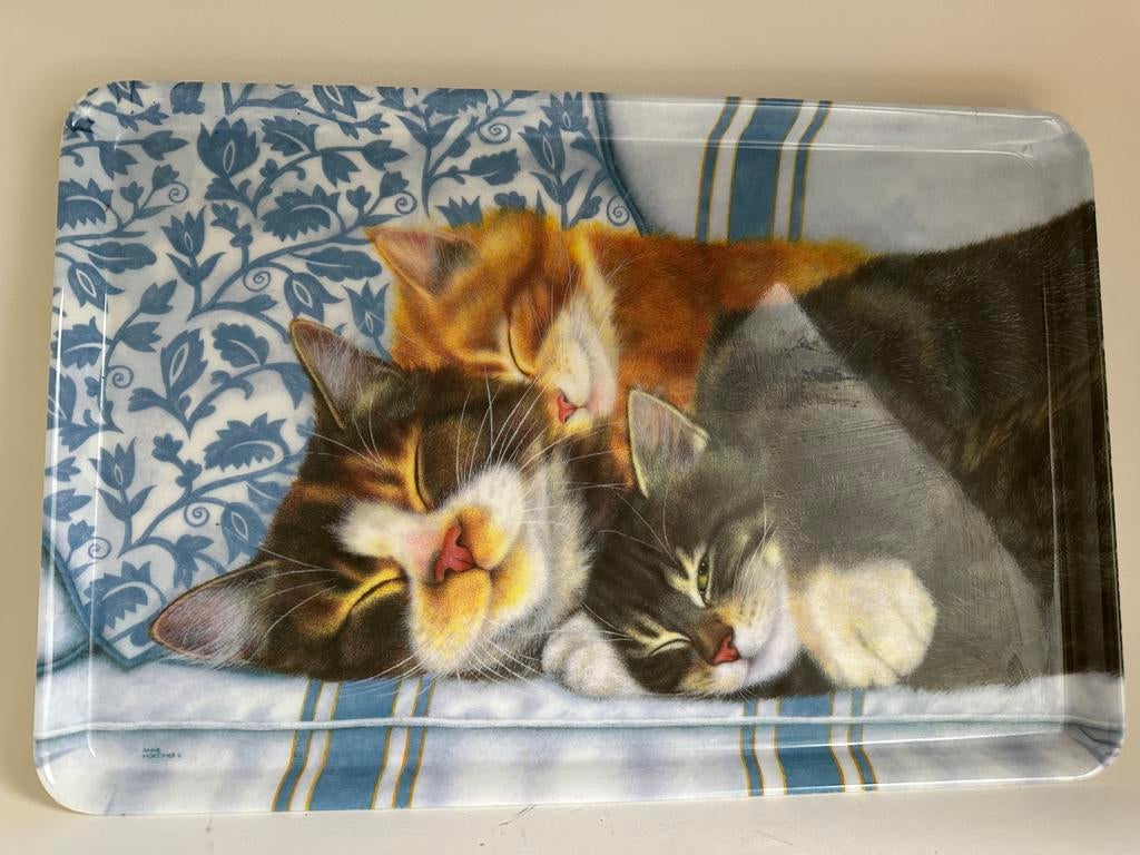 Leuk dienblad met slapende katten, Ophalen of Verzenden, Gebruikt, Rechthoekig, Kunststof