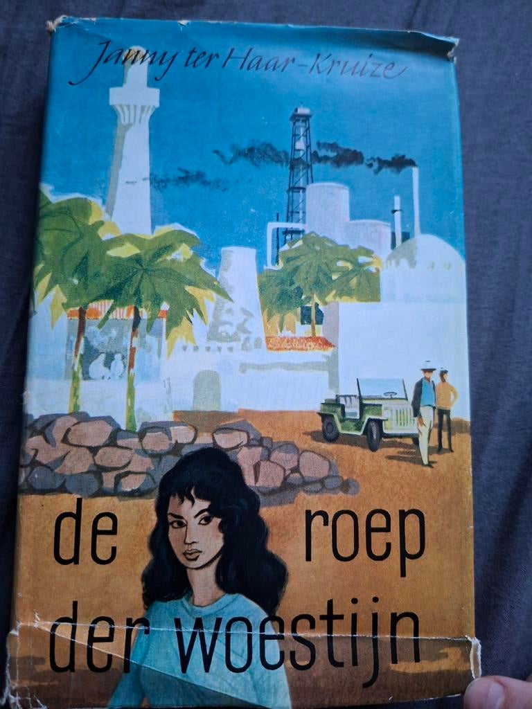 De roep der woestijn - Janny ter Haar-Kruize, Ophalen of Verzenden, Gelezen, Janny ter haar - kruize, Nederland