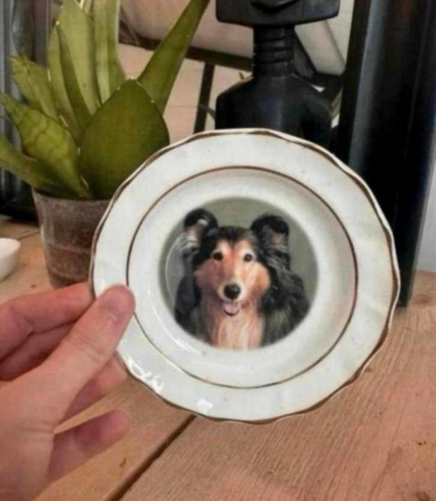 Schoteltje van faithful friends met een schotse herdershond, Ophalen of Verzenden, Nieuw