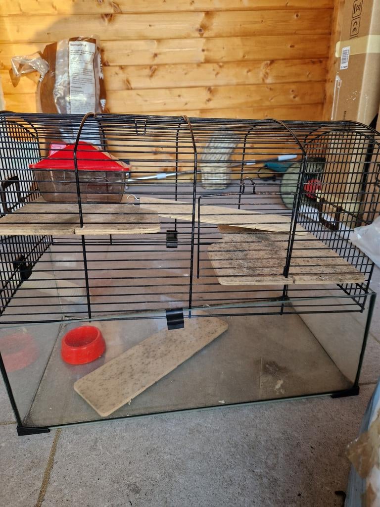 Huisje voor hamsters, Dieren en Toebehoren, Ophalen, Minder dan 75 cm, Kooi, Minder dan 60 cm