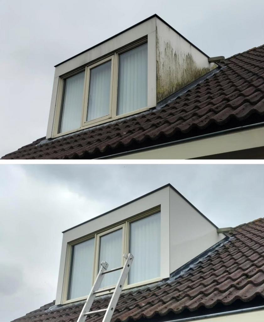 Specialistische reiniging schoonmaak Buiten, Diensten en Vakmensen, Schoonmakers en Glazenwassers