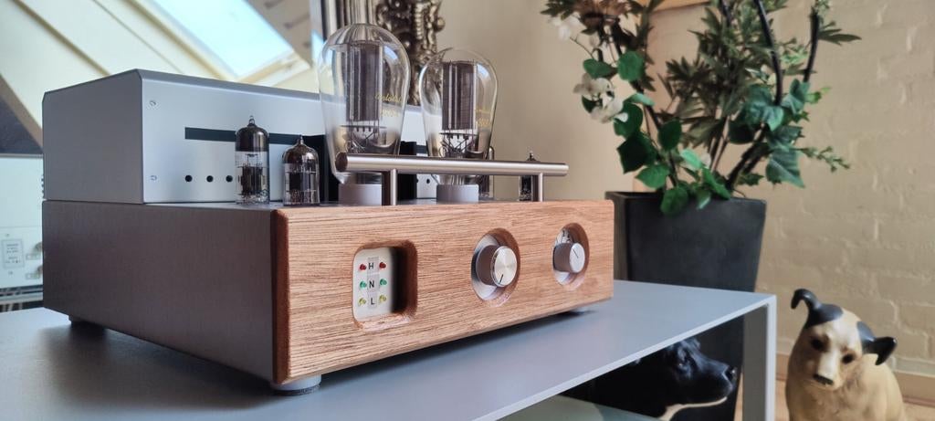 Single Ended Klasse A/300B-SE - DHT TRIODE Buizenversterker., Ophalen of Verzenden, Versterker