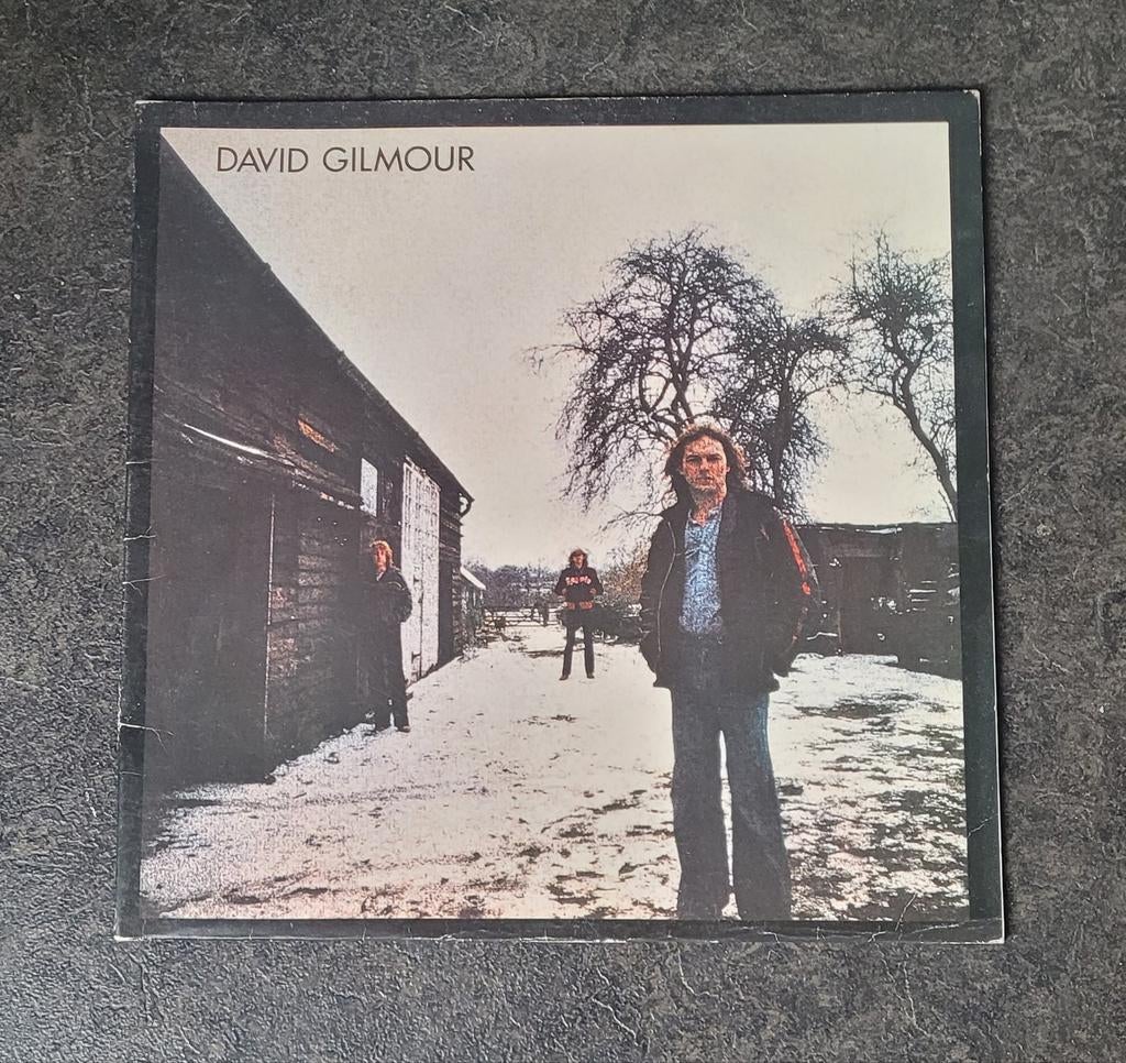 David Gilmour, Ophalen of Verzenden, Gebruikt, Overige formaten, Poprock