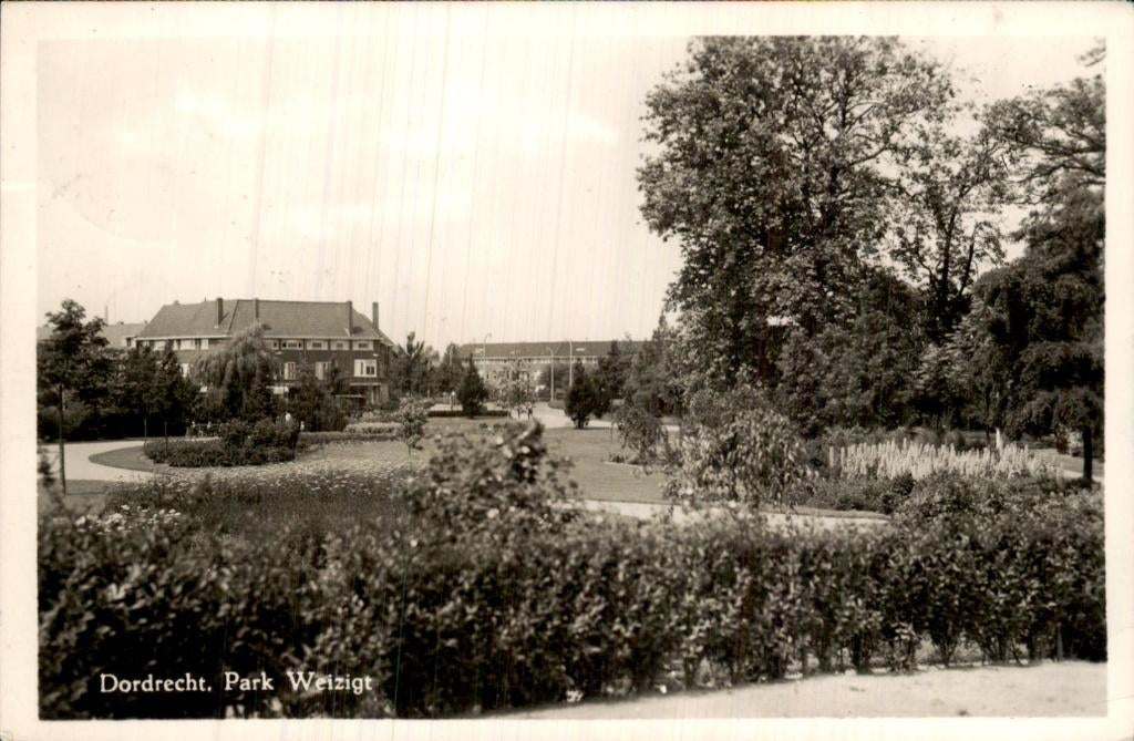 Dordrecht - Park Weizigt - Parkzicht, Ophalen of Verzenden, 1940 tot 1960, Gelopen, Zuid-Holland