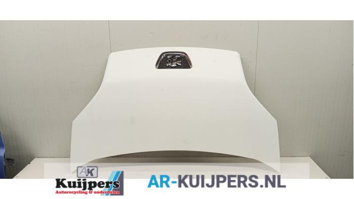 Motorkap van een Peugeot Bipper (EWP), Gebruikt, -, -, -