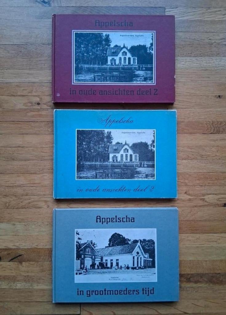 3 fotoboekjes
Appelscha in oude ansichten Geschiedenis info, Boeken, Ophalen of Verzenden, Zo goed als nieuw