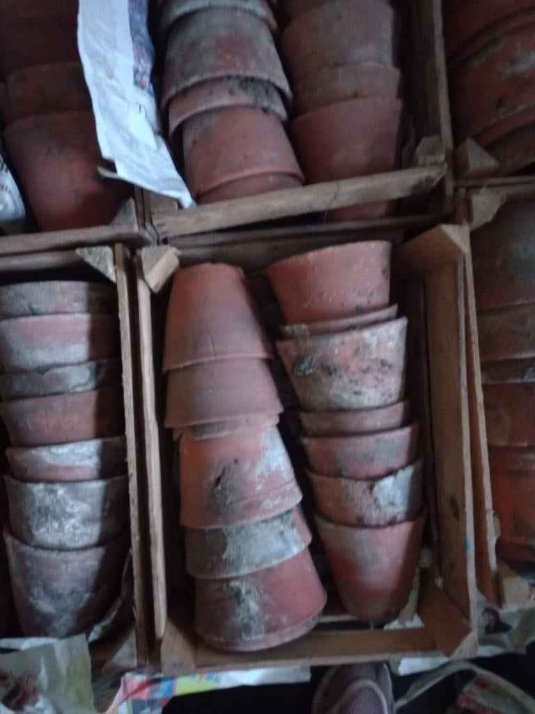 Gebruikte terracotta bloempotten, Tuin en Terras, Bloempotten, Gebruikt, Terracotta, Binnen, Balkon, Tuin, Minder dan 40 cm, Minder dan 25 cm