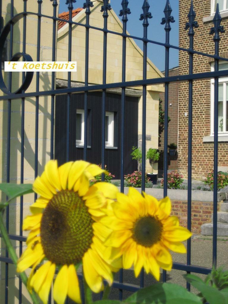 Last min. Z.Limburg   Koetshuis 17/8 t/m 24/8  kort.25%, Vakantie, 5 personen, Limburg, In bergen of heuvels, Landelijk