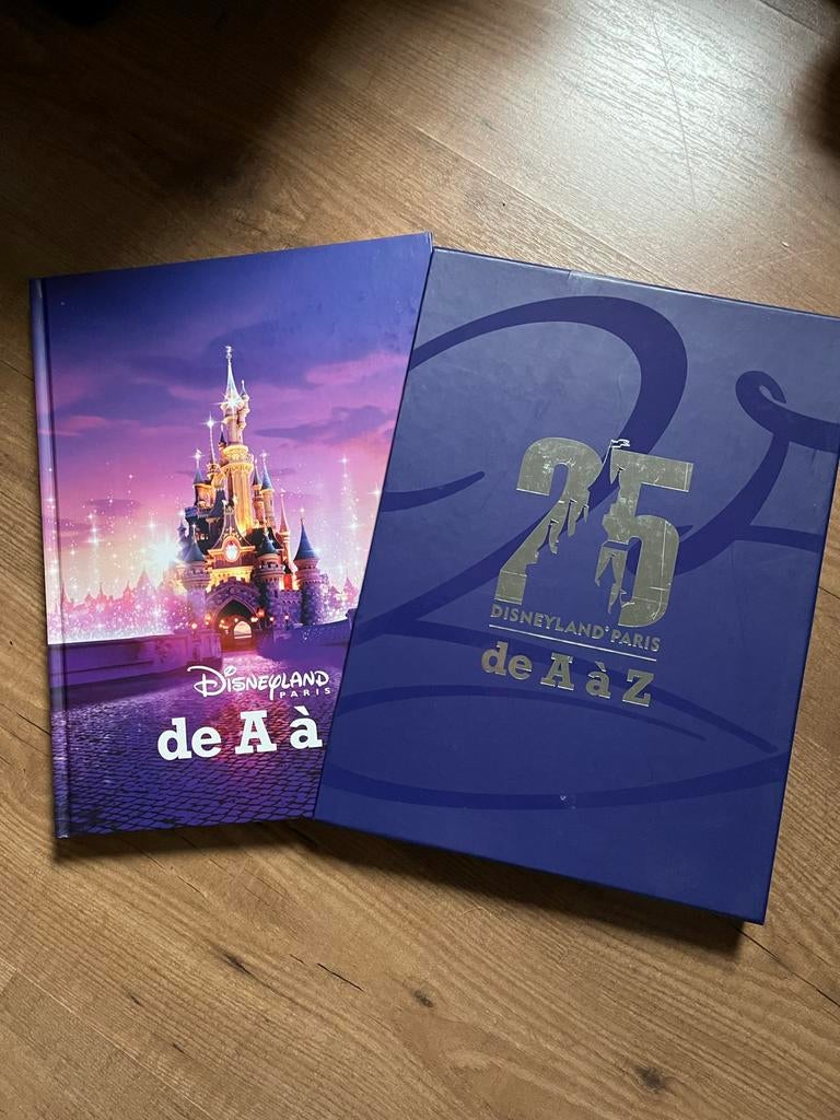 Disneyland Paris 25 Jaar Boek, Ophalen of Verzenden, Overige figuren, Zo goed als nieuw, Overige typen
