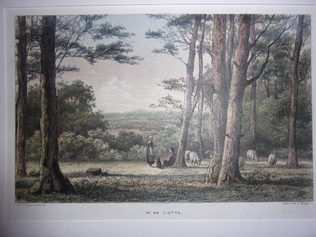 In de Lutte. Originele Gekleurde Litho Schipperus 1876