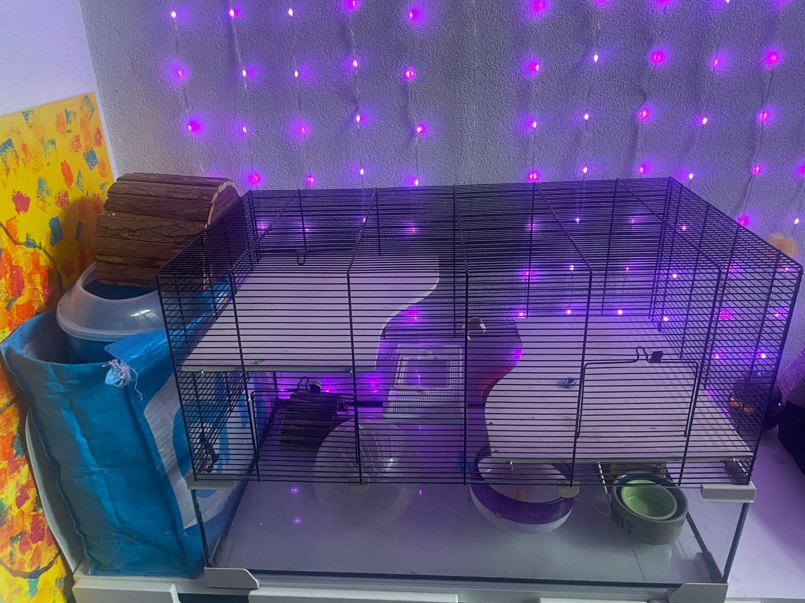 Hamsterkooi met toebehoren, Dieren en Toebehoren, Knaagdieren en Konijnen | Hokken en Kooien, Kooi, Gebruikt, Minder dan 75 cm