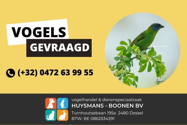Tropen gevraagd, Meerdere dieren