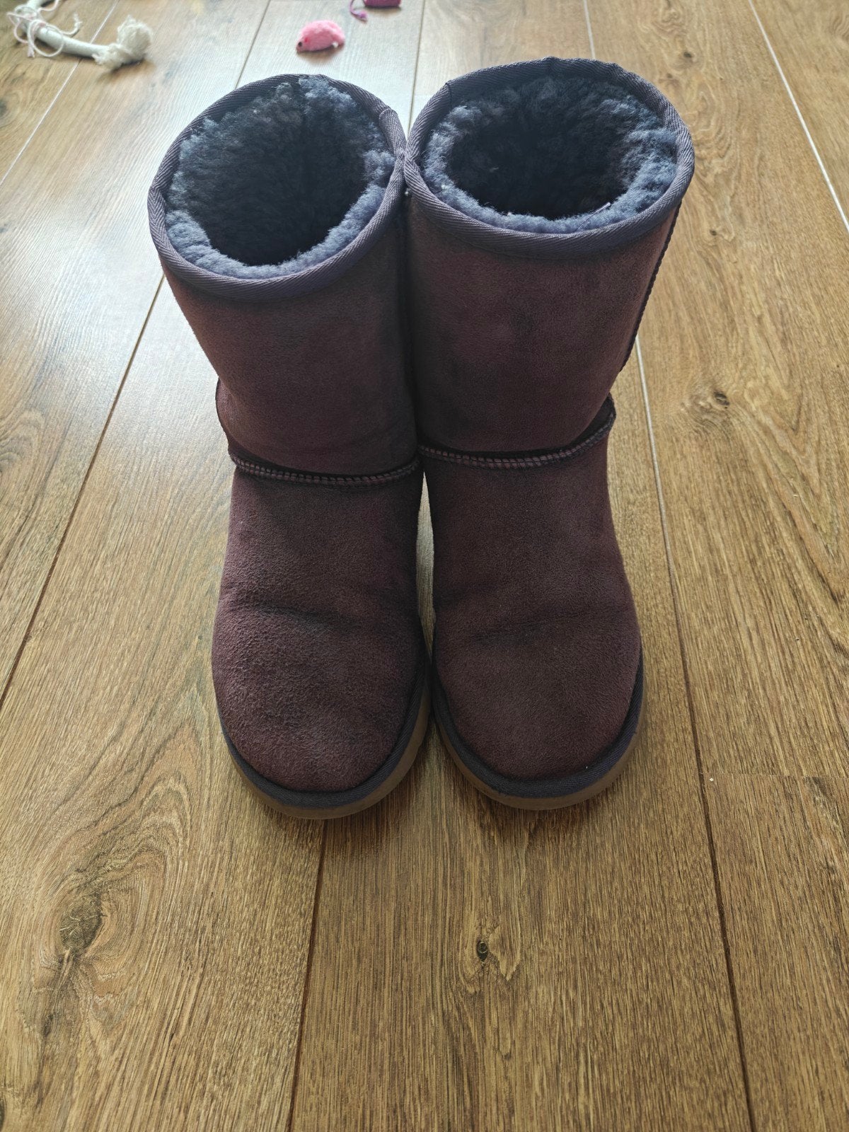 Comfortabele UGG laarzen maat 40 - Gebruikt, UGG, Overige kleuren, Lage of Enkellaarzen, Ophalen of Verzenden