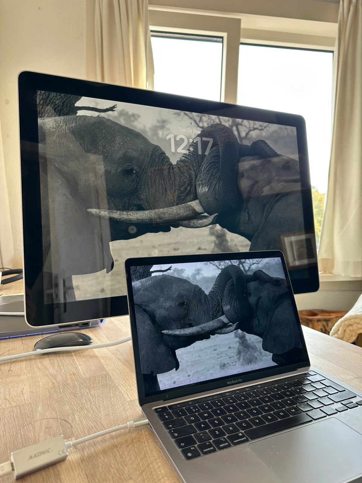 Apple LED Cinema Display 24-inch, Computers en Software, Ophalen, Overige modellen, Apple, Overige groottes