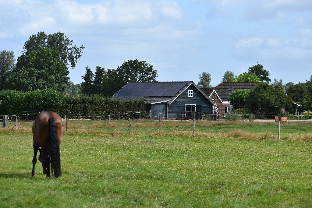 Paardenstal in Epe beschikbaar, Dieren en Toebehoren, Stalling, 1 paard of pony