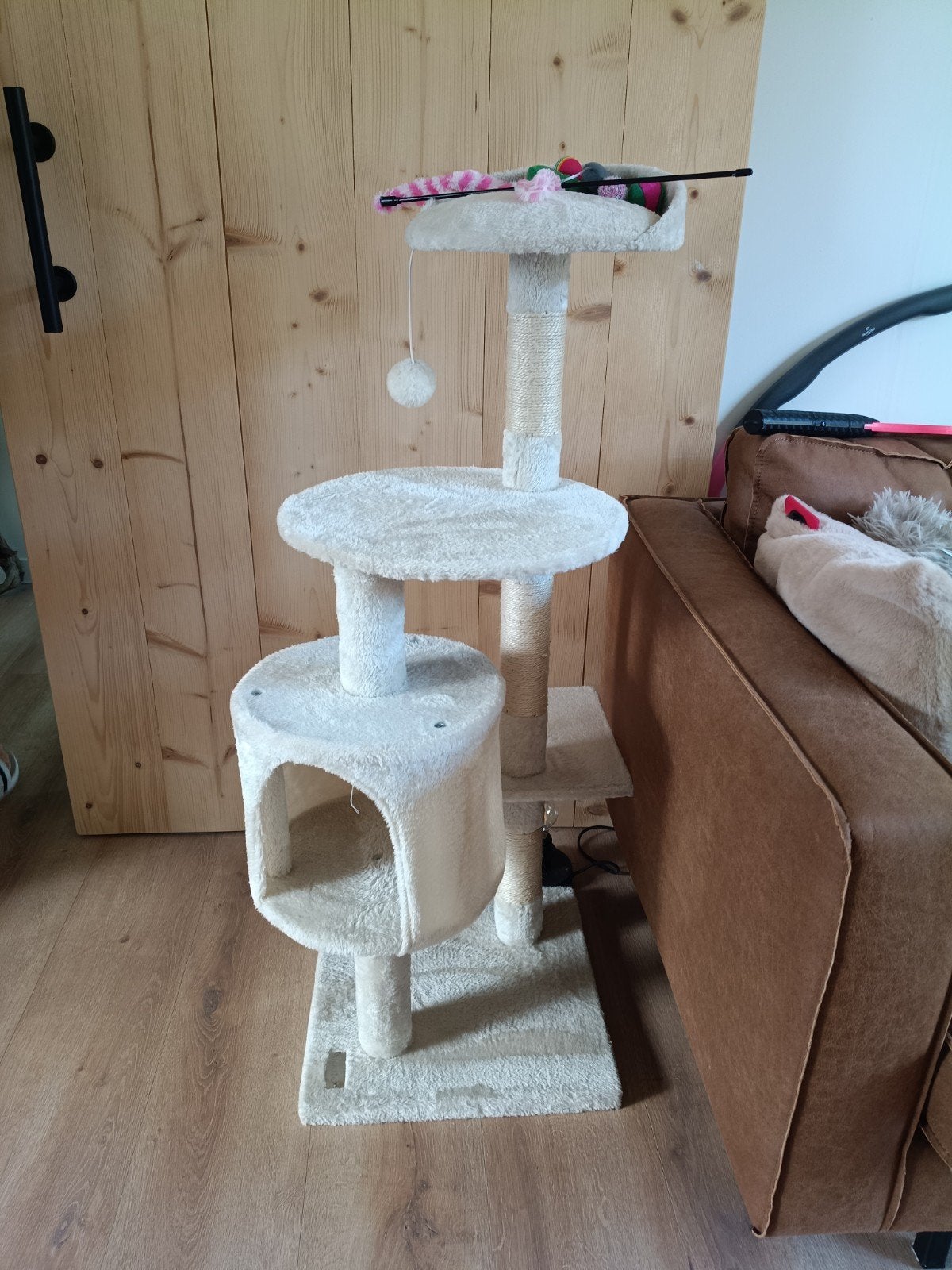 krabpaal kitten, Dieren en Toebehoren, Ophalen, Zo goed als nieuw