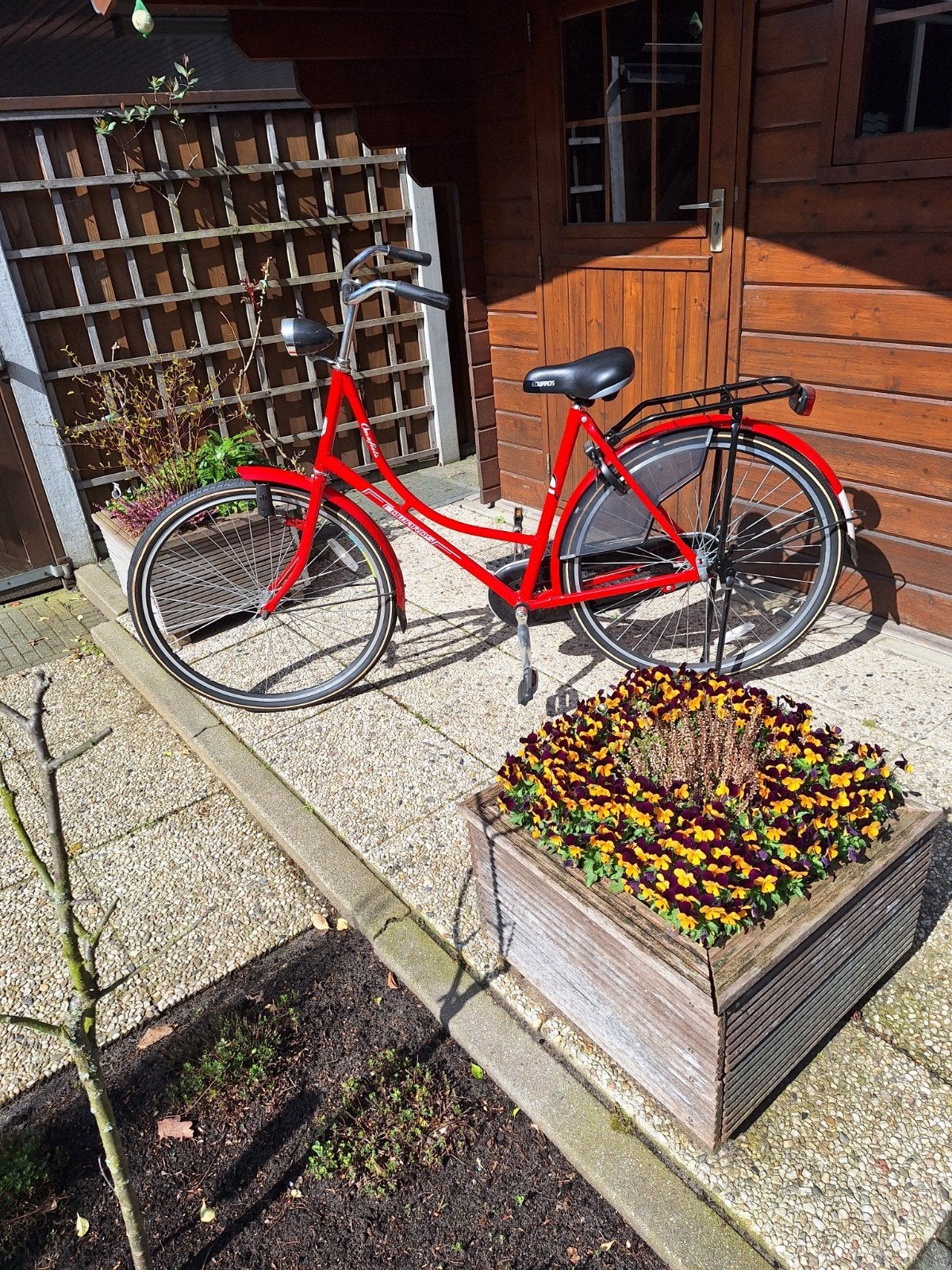 Mooie z g a n Omafiets, Fietsen en Brommers, 53 tot 56 cm, Ophalen, Zo goed als nieuw, Terugtraprem