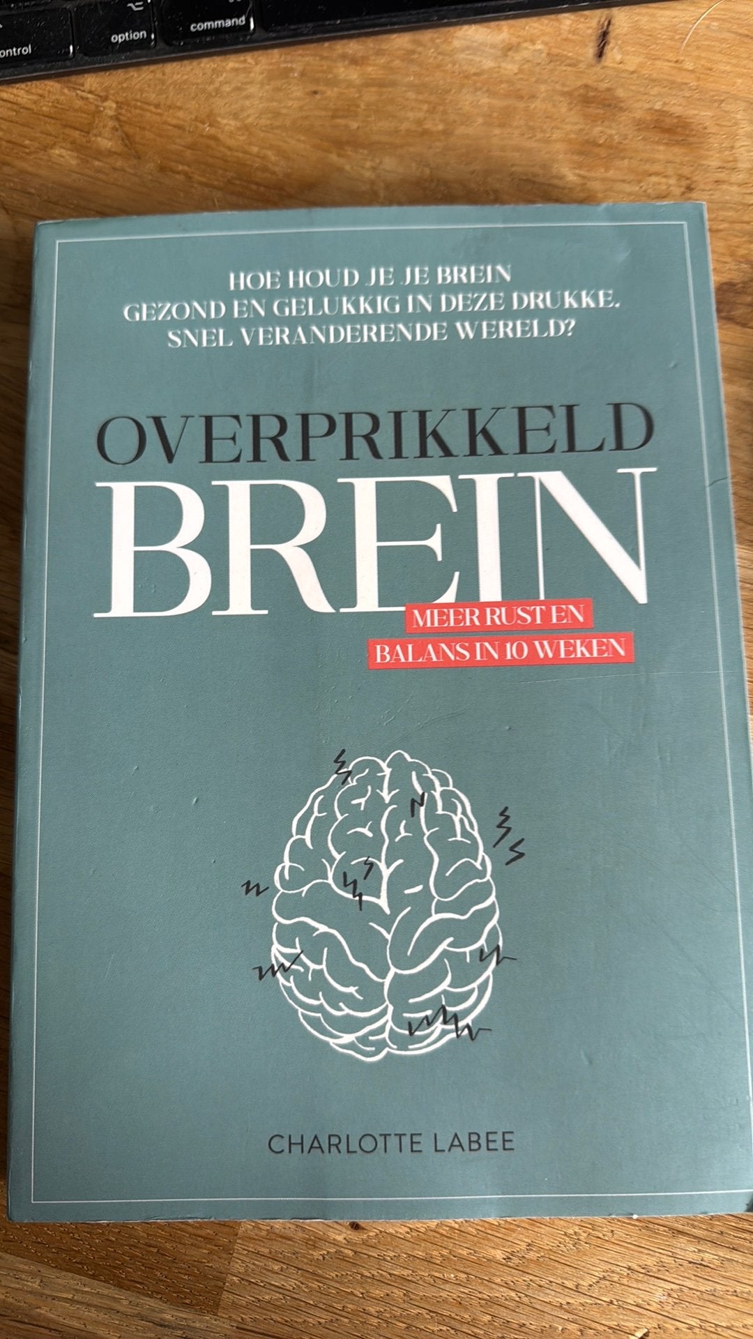 Charlotte Labee - Overprikkeld brein, Ophalen of Verzenden, Zo goed als nieuw, Charlotte Labee