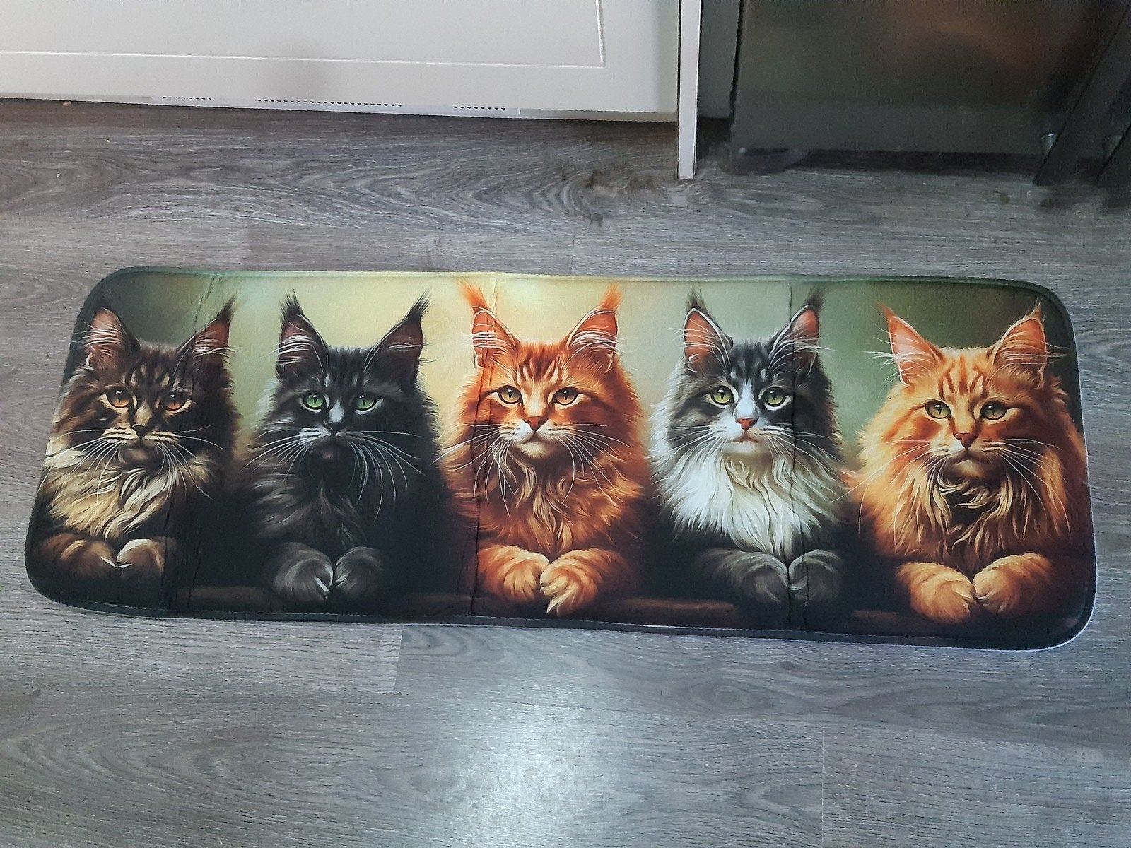 badmat Maine Coon nieuw, Ophalen of Verzenden, Nieuw, Wit
