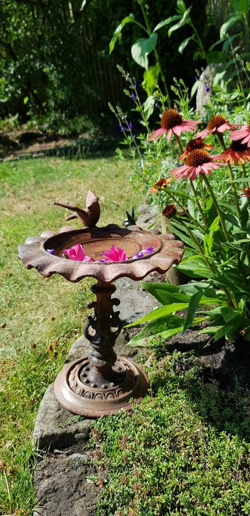Oud klein vogelbadje op voet met vogeltje. Massief gietijzer, Ophalen of Verzenden, Gebruikt