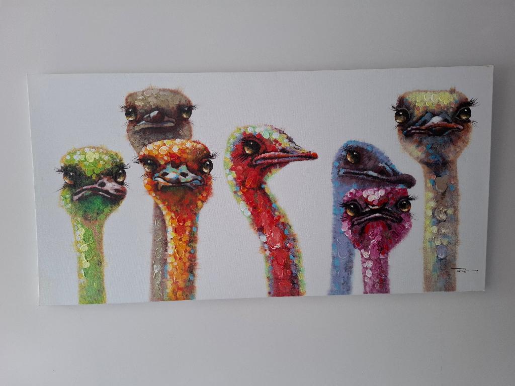 Canvas schilderij Struisvogels Colorful Ostrich, Antiek en Kunst, Kunst | Schilderijen | Modern, Ophalen