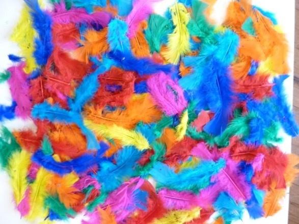 300  SOORTEN VEERTJES - VEREN, Hobby en Vrije tijd, Knutselen, Ophalen of Verzenden, Nieuw