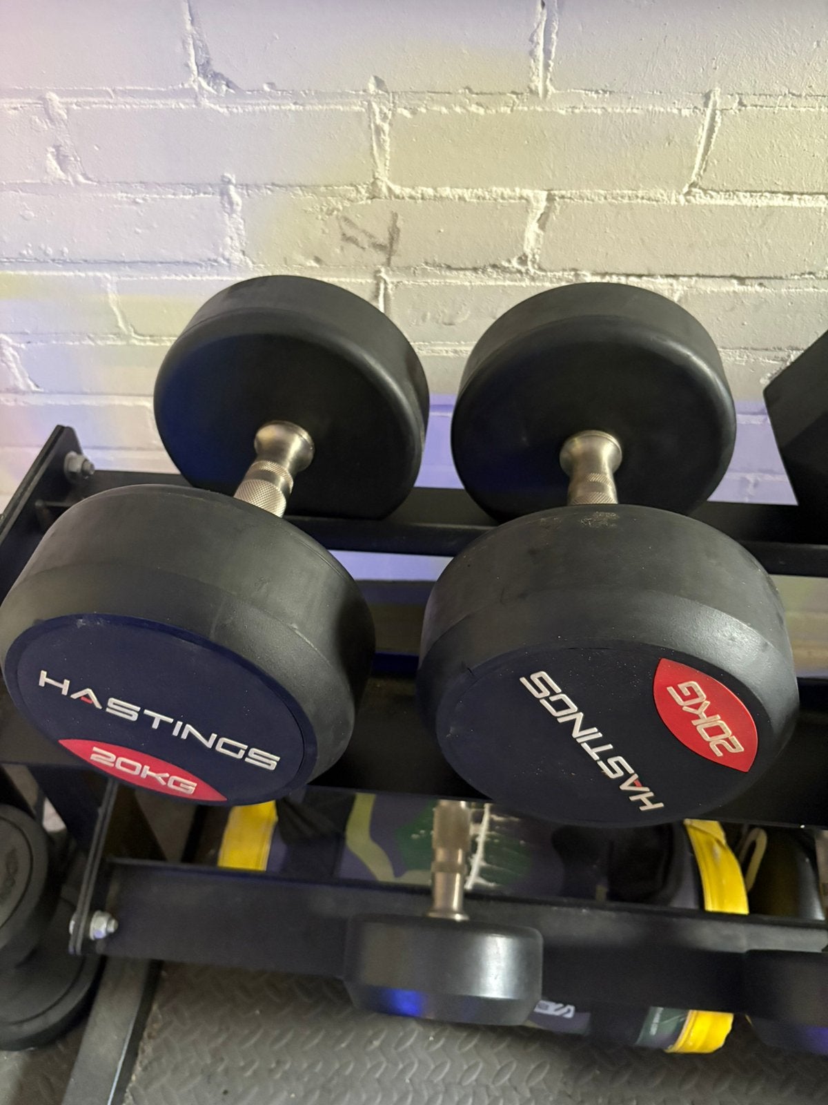 Hastings dumbbells (2 stuks van 20kg), Ophalen, Zo goed als nieuw, Dumbbell