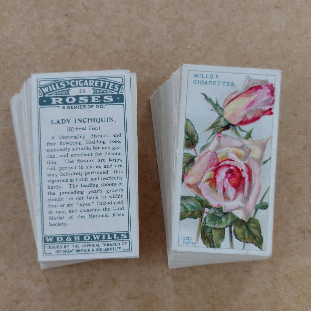 Roses complete set 50 cigarette cards bloemen 1926, Ophalen