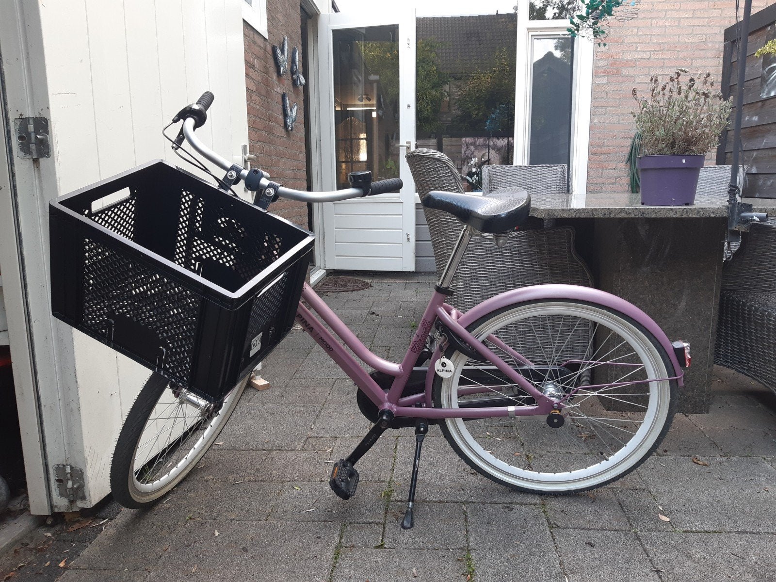 Alpina Mood 24 inch meisjesfiets met voordrager, Ophalen, Terugtraprem, Alpina, Handrem