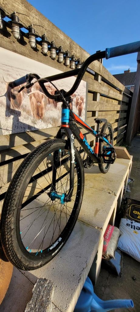 BMX Haro pro lite cruiser 24", Fietsen en Brommers, Fietsen | Crossfietsen en BMX, Ophalen of Verzenden, Staal, 24 inch of meer