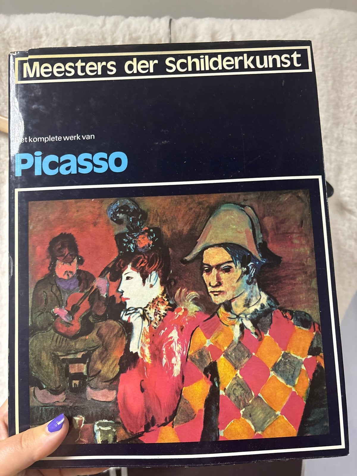Meesters der Schilderkunst: Het complete werk van Picasso, Ophalen of Verzenden, Gelezen, Schilder- en Tekenkunst