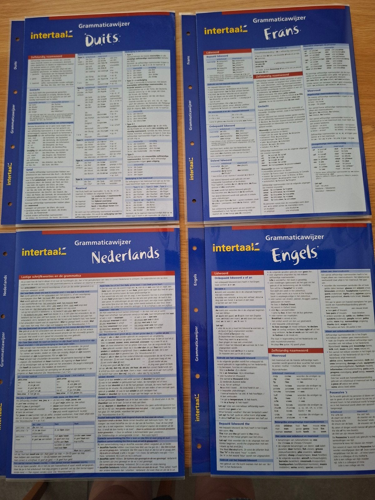 Intertaal Grammaticawijzer: Duits, Nederlands, Frans, Engels, Boeken, Ophalen, Non-fictie, Meerdere talen (Nederlands, Duits, Frans, Engels)