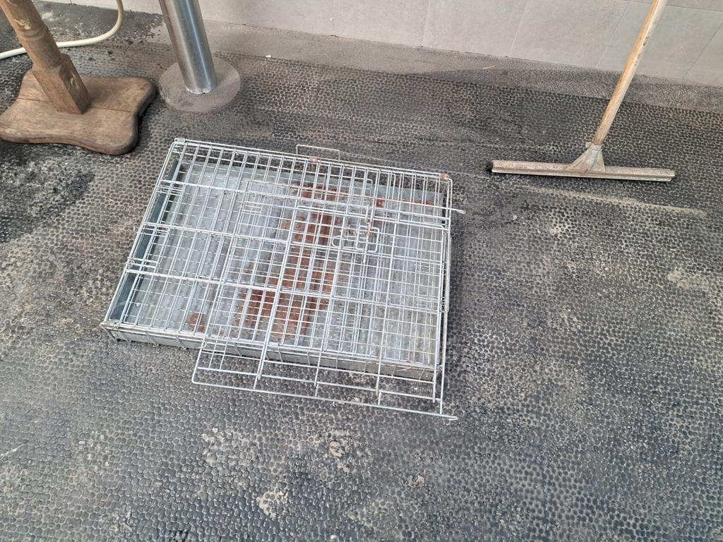 Honden bench, Dieren en Toebehoren, Ophalen, Gebruikt