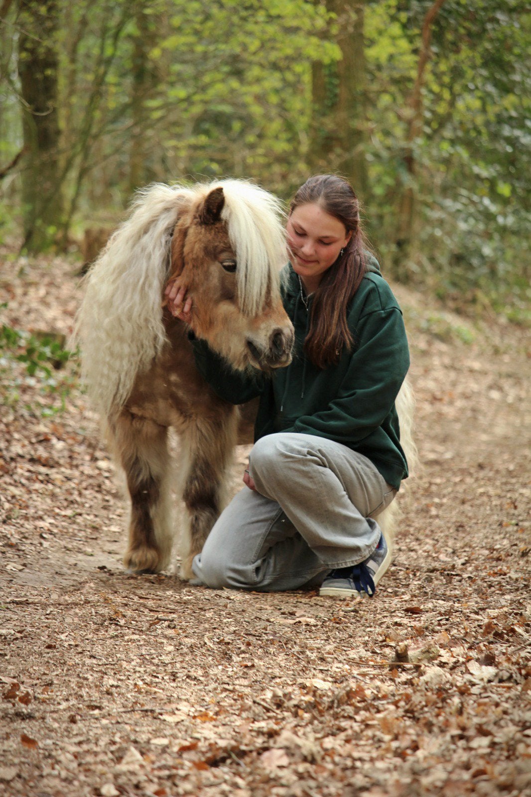 Verzorger/bijrijder aangeboden, Dieren en Toebehoren, Ophalen of Verzenden