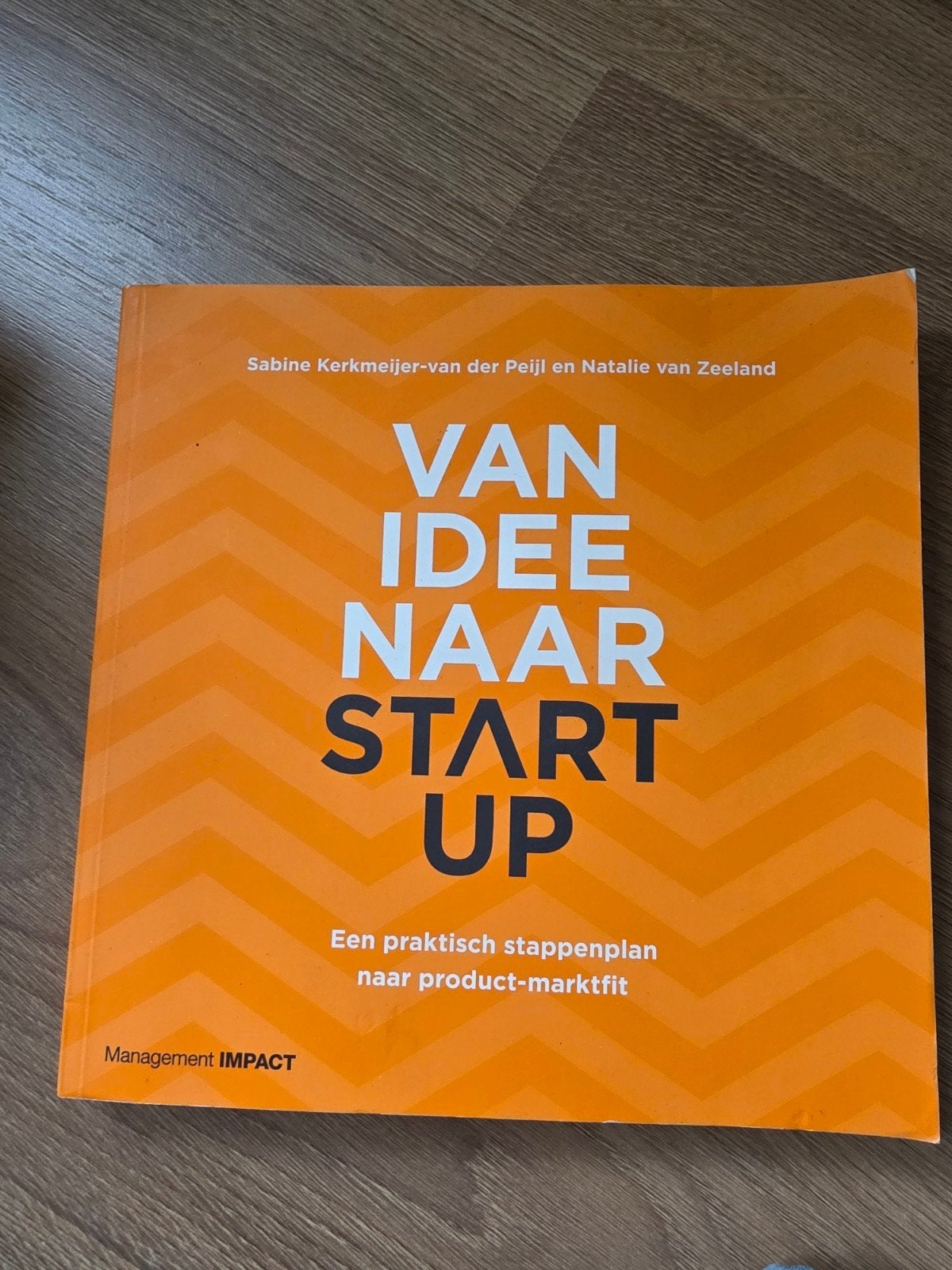 Van Idee Naar Start Up - Praktisch Stappenplan, Ophalen of Verzenden, Zo goed als nieuw, Economie en Marketing, Sabine Kerkmeijer-van der Peijl en Natalie van Zeeland