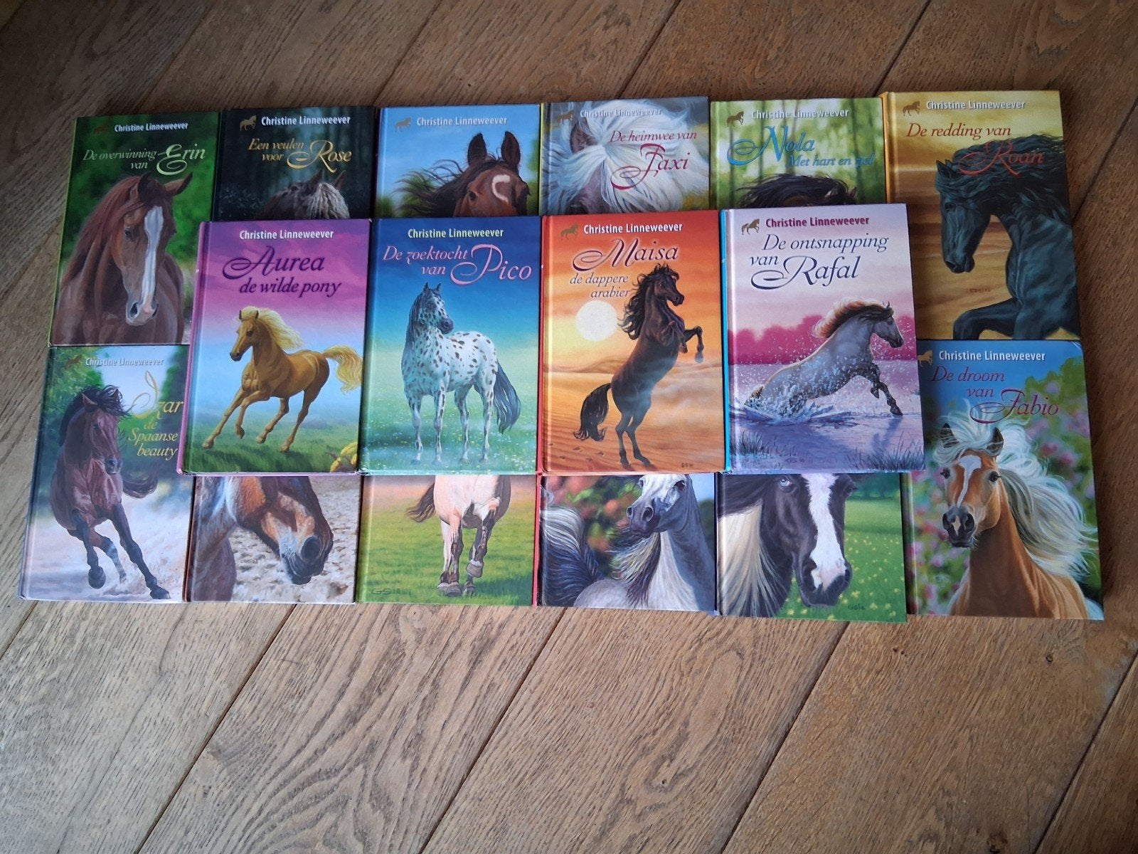 Gouden paarden serie - Christine Linneweever, Boeken, Ophalen, Zo goed als nieuw, Christine Linneweever, Fictie