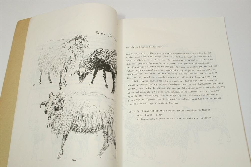 Grootvaders Huisdieren — Zeldzame Rassen 1977, Ophalen of Verzenden, Gelezen, Honden