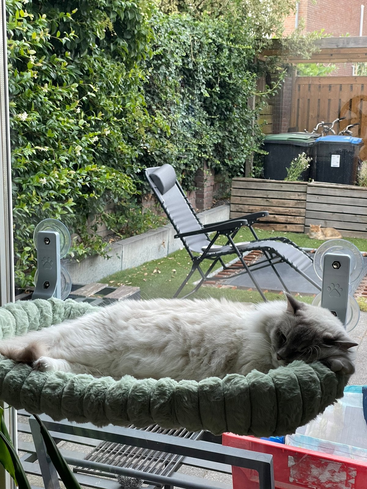 Kattenhangmat voor aan het raam, groen, Ophalen, Zo goed als nieuw