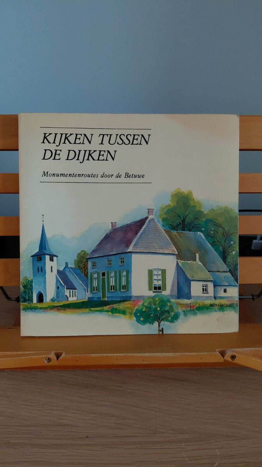 Kijken tussen de Dijken: Monumentenroutes door de Betuwe, Boeken, Geschiedenis | Stad en Regio, Ophalen of Verzenden, 20e eeuw of later