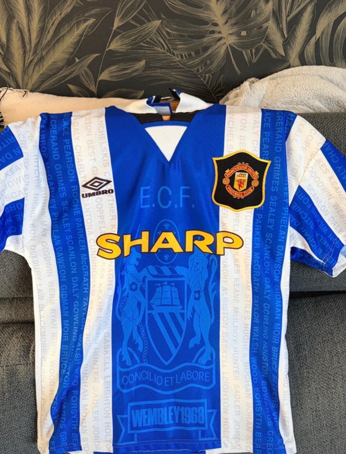 Zeldzaam Manchester United Kindermaat Shirt 1994/1995, Blauw, Overige maten, Ophalen of Verzenden, Voetbal