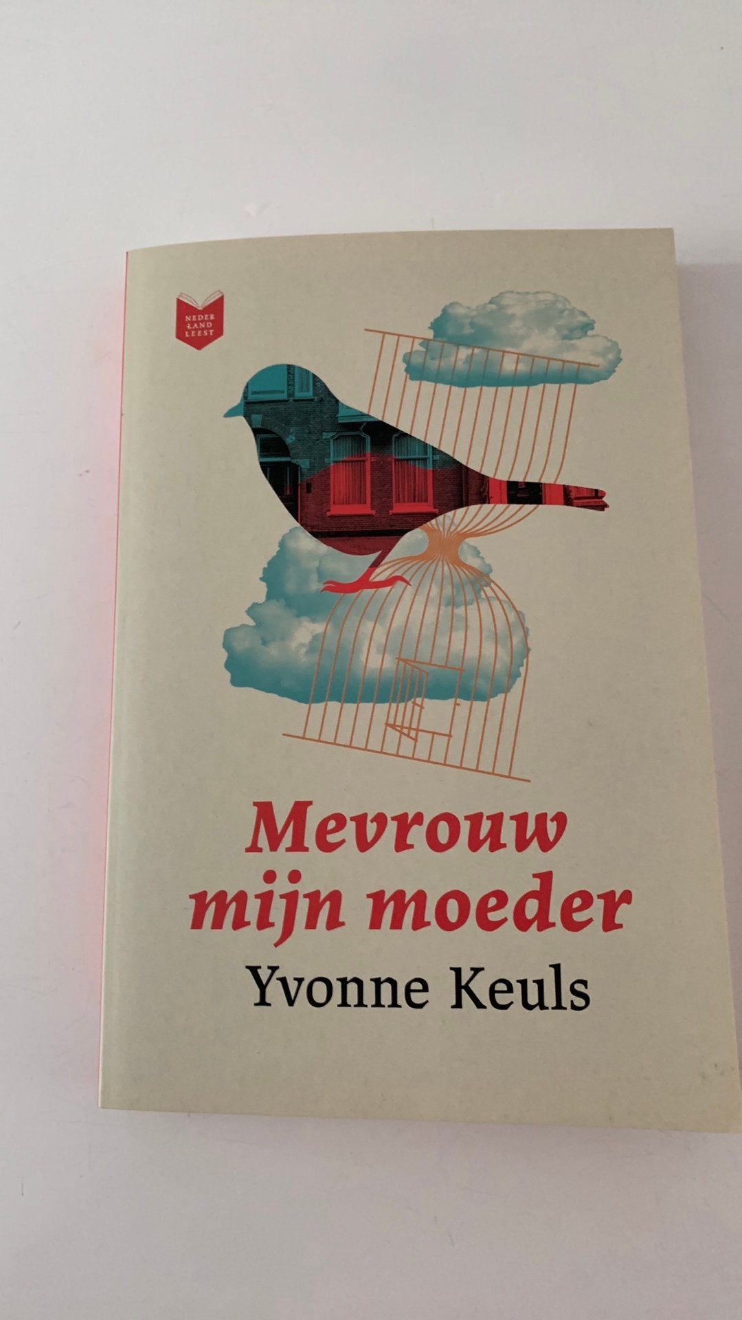 Mevrouw mijn moeder, Boeken, Ophalen of Verzenden, 19e eeuw, Zo goed als nieuw