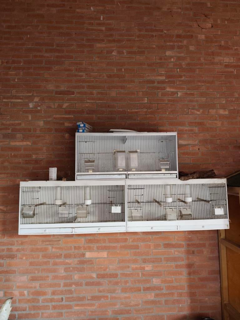 Broed kooien en uitvlieg kooi, Dieren en Toebehoren, Vogels | Hokken en Kooien, Ophalen of Verzenden, Gebruikt, Hout, Broedkooi of Kweekkooi